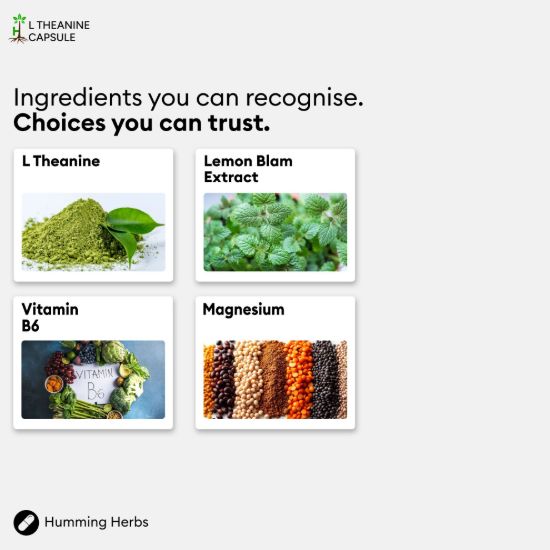 Picture of Humming Herbs L-Theanine Capsules 120 – 4-in-1 Formula