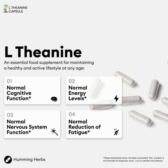 Picture of Humming Herbs L-Theanine Capsules 120 – 4-in-1 Formula
