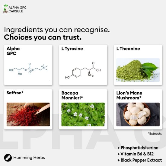 Picture of Humming Herbs Alpha GPC Capsules | 11-in-1 Formula | 120 Caps