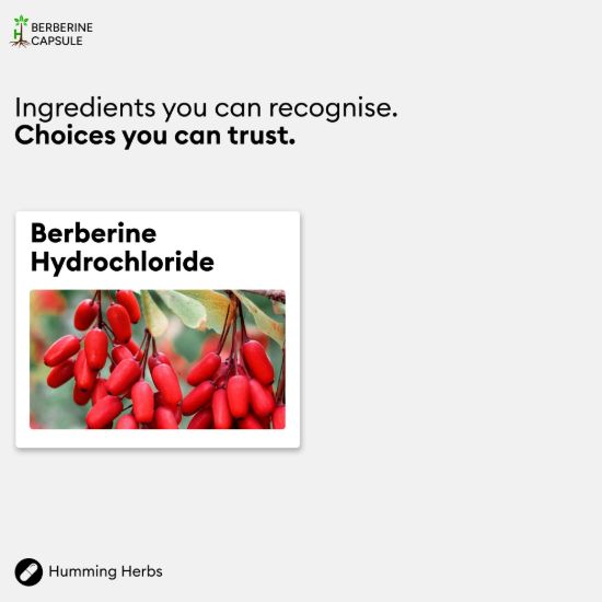 Picture of Humming Herbs Berberine 1000mg Capsules | 180 Capsules